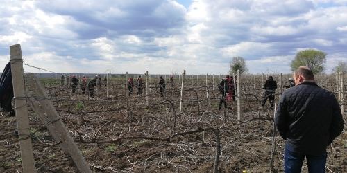  Bolgrad市固體燃料鍋爐房的葡萄酒能源使用示范項(xiàng)目