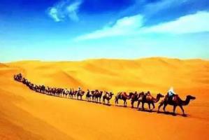 西北五省青海篇 | 新疆絲路基建會觀眾組織獲西寧專業觀眾強烈反響！