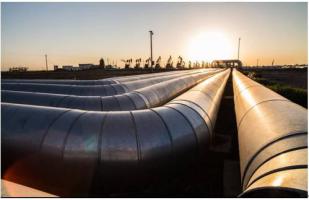 國(guó)家能源局綜合司關(guān)于開(kāi)展油氣管網(wǎng)設(shè)施公平開(kāi)放信息公開(kāi)和信息報(bào)送專項(xiàng)督查工作的通知