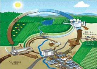 到2022年，陽信縣取暖基本不用煤！用生物質能！