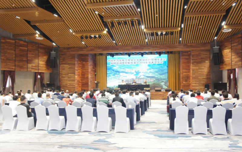 水電站運(yùn)行管理、梯級調(diào)度控制專委會聯(lián)合召開2018年學(xué)術(shù)交流會