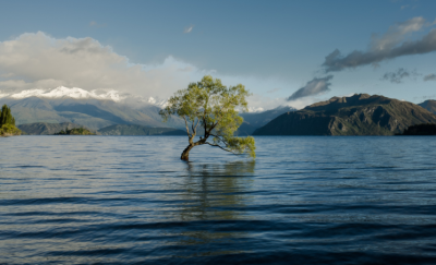 23個(gè)國家簽署承諾，加強(qiáng)氣候變化行動