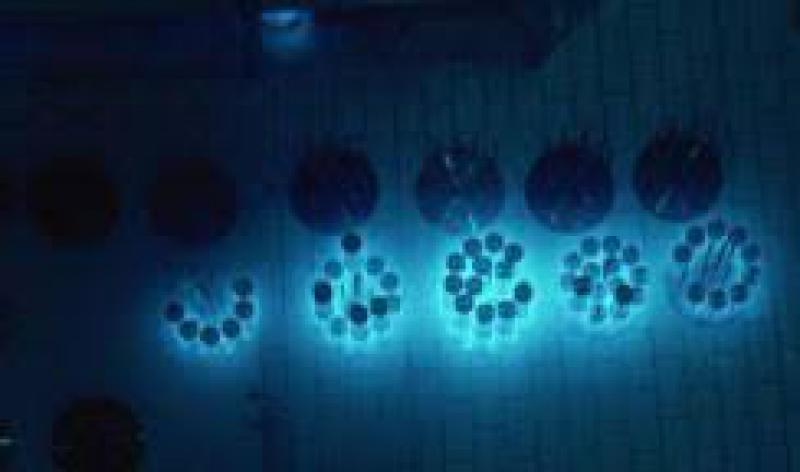 法電與俄羅斯國家原子能公司簽署核燃料研究合同