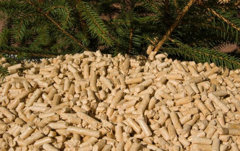 住友重機(jī)工業(yè)有限公司(SHI)在日本，韓國(guó)獲得生物質(zhì)項(xiàng)目