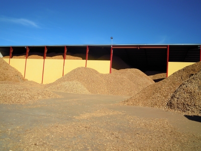 電生物質(zhì)長達(dá)兩萬八千