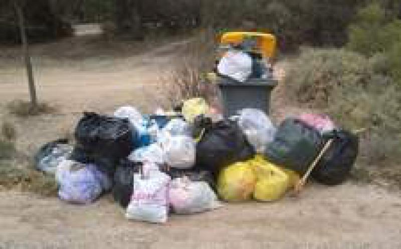 澳大利亞紙業公司計劃建立垃圾焚燒發電廠