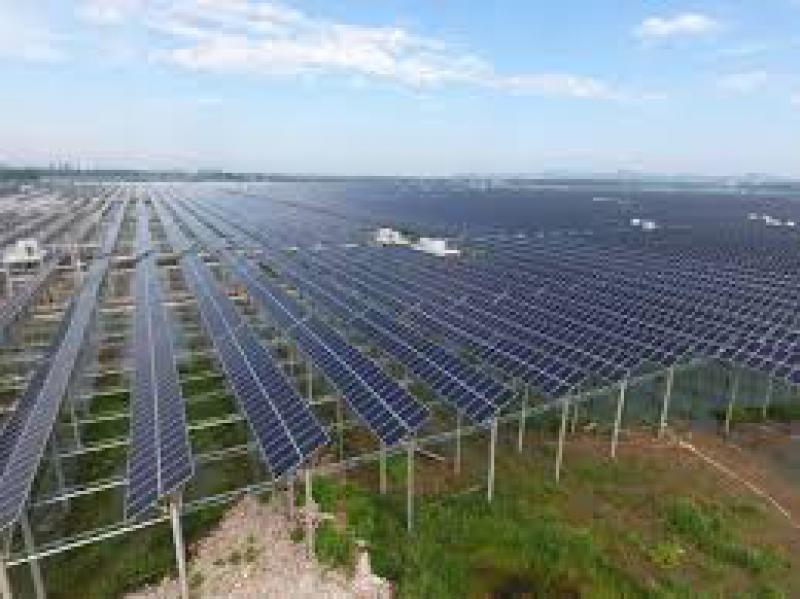 平圩發(fā)電光伏項目2018年累計發(fā)電突破1億千瓦時