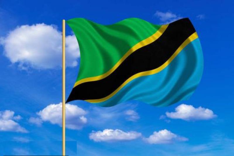 坦桑尼亞能源政策