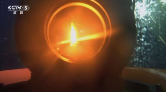 第十五屆全國運動會采用南?？扇急晒ν瓿苫鸱N采集