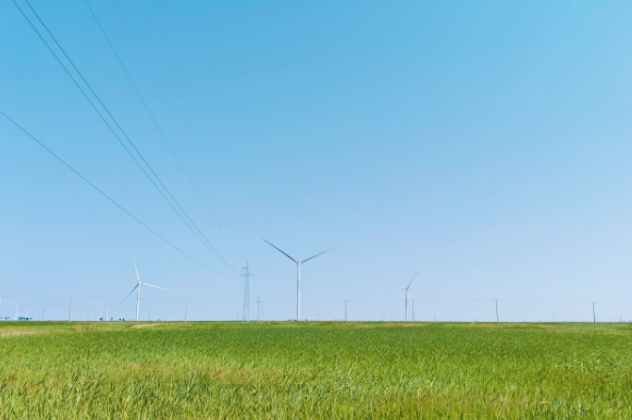 全球最大單體綠氨裝置——大安風(fēng)光制綠氫合成氨一體化風(fēng)電項目全容量并網(wǎng)